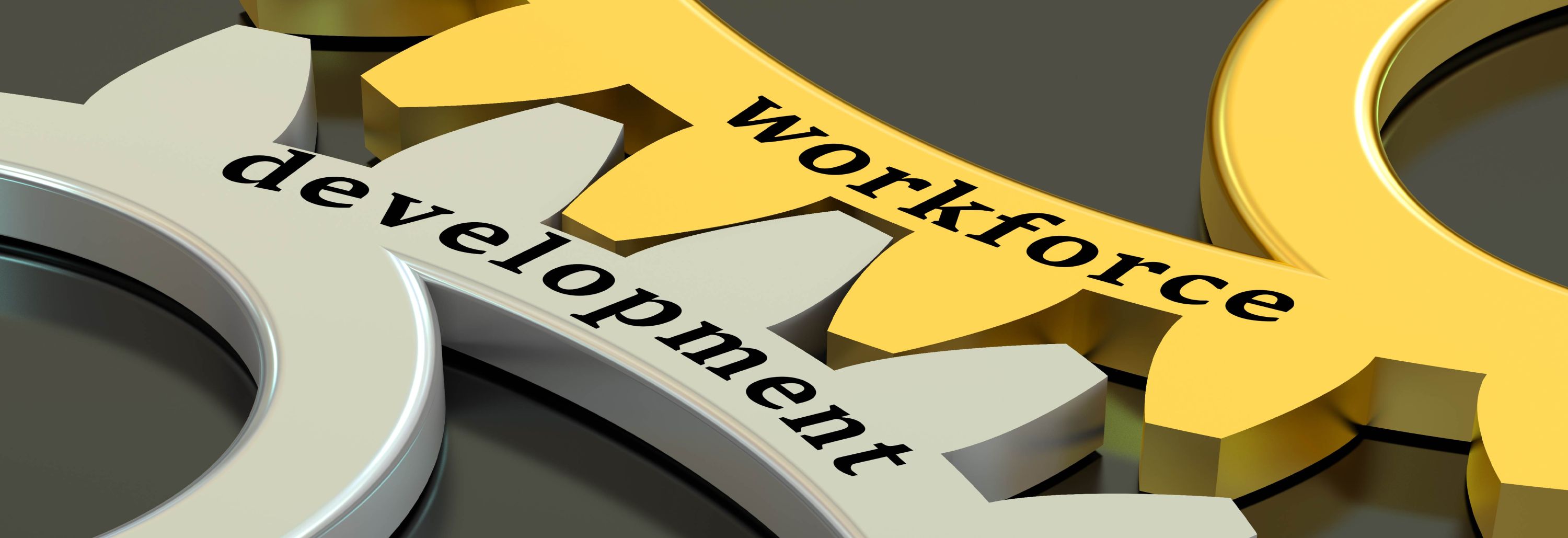 Banner for Carlsbad Workforce Data